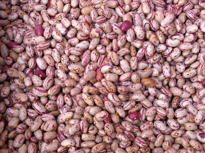 豆类，豆类，食品