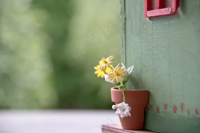 鲜花，鸟舍，花园棚，花盆，关闭