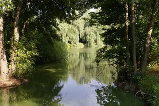 钓鱼湖，佩卡，性质，湖，绿色，反射