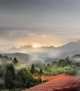 花园，房屋，别墅，景观，日落