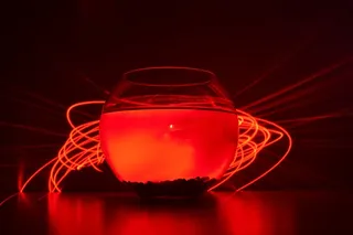 荧光图，激光，水族馆