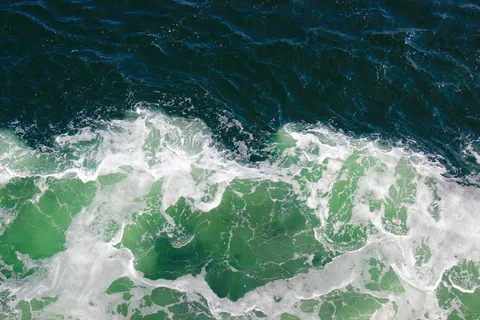 海洋,泡沫,水,海,惊涛骇浪,现场 海洋,泡沫,水,海,惊涛骇浪,现场