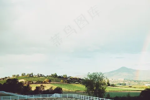 天空,风景,树,山峦,轿车,葡萄园