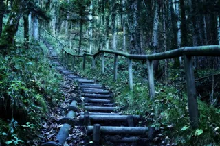 远足，森林，自然，景观，迁徙路径