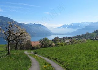 村，湖，查看，远景，春天，景观