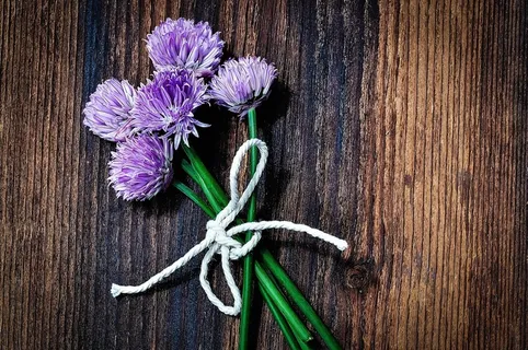细香葱,鲜花,韭菜花,紫色,束缚 细香葱,鲜花,韭菜花,紫色,束缚