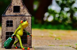 走，告别，旅行，青蛙，行李，图，可爱