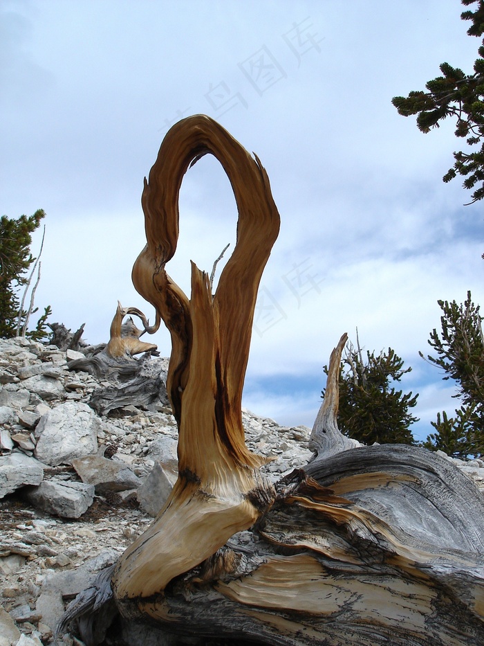 大盆地国家公园，内华达州，景观，天空
