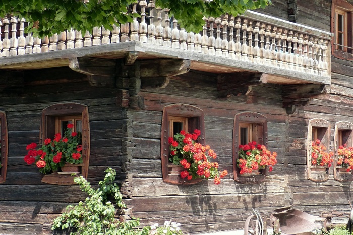 假期，积木，花卉装饰，老，高山