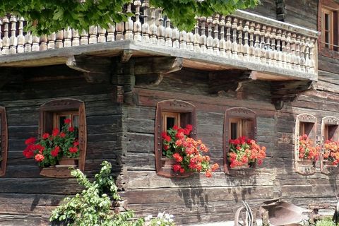 假期，积木，花卉装饰，老，高山