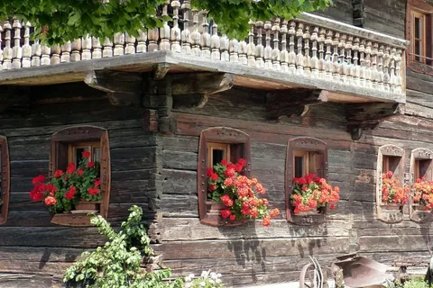 假期，积木，花卉装饰，老，高山