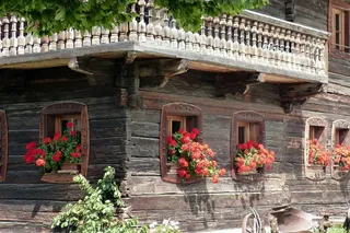 假期，积木，花卉装饰，老，高山