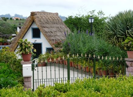 马德拉，葡萄牙，大西洋，岛，假期，首页