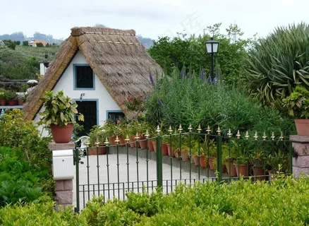 马德拉，葡萄牙，大西洋，岛，假期，首页