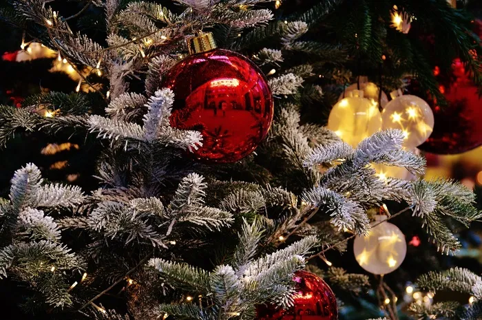 圣诞节，圣诞球，Christbaumkugeln，装饰