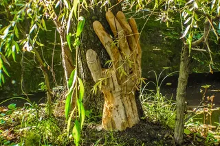 雕像，木头，树