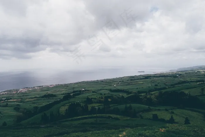 草原,山峦,天空,风景,树,丘陵