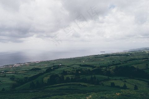 草原,山峦,天空,风景,树,丘陵