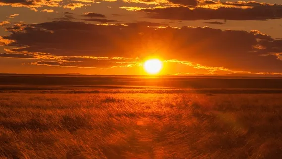 蒙古，日落，照明，背光，阳光