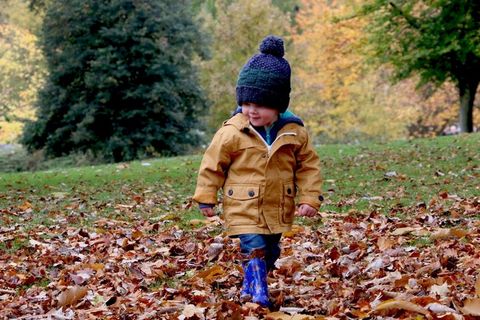 儿童，可爱，户外，秋季，秋天，季节，快乐