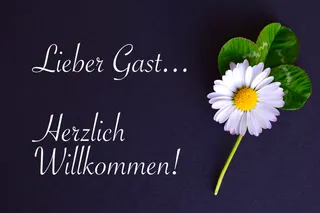 大使馆，地图，欢迎，来宾，鹅花