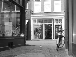 欧洲，街，荷兰，自行车，自行车，周期，活动