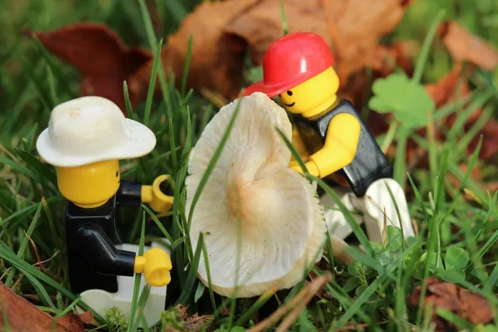 Playmobil，男性，工人，园丁，蘑菇，花园