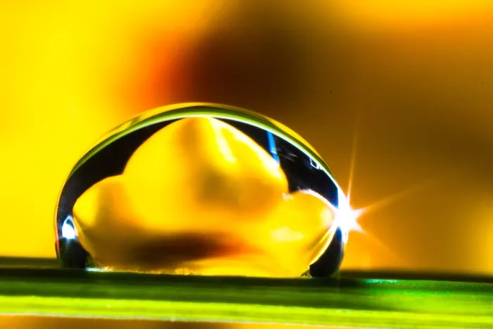 一滴水，滴水，草叶，开花，盛开