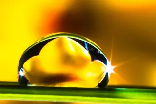 一滴水，滴水，草叶，开花，盛开