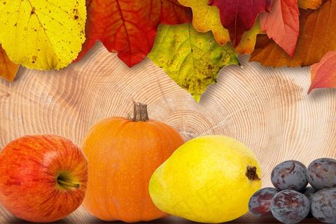 叶子，水果，苹果，梨，南瓜，李子，多彩