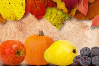 叶子，水果，苹果，梨，南瓜，李子，多彩