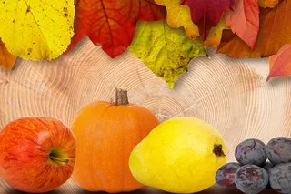 叶子，水果，苹果，梨，南瓜，李子，多彩