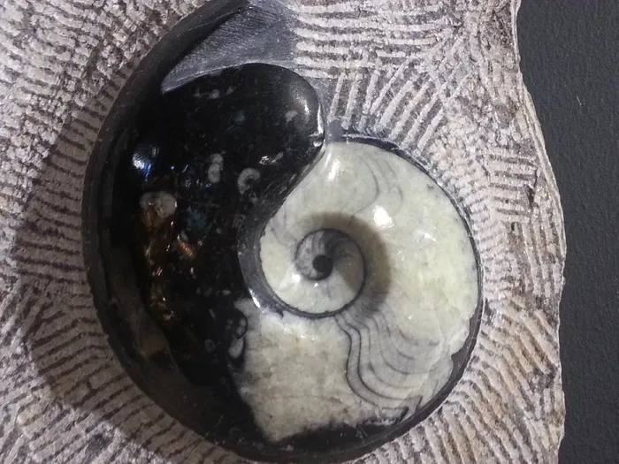 宝石，治疗石，阴阳，矿物，石头，螺旋