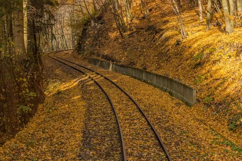 秋,黄色,Rails,阿瓦尔,铁路,性质,森林 秋,黄色,Rails,阿瓦尔,铁路,性质,森林