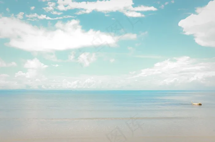 海，天空，狗，海滩，景观，户外，地平线