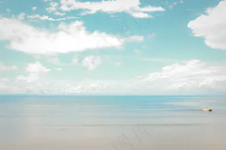 海，天空，狗，海滩，景观，户外，地平线