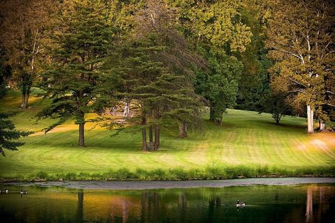 公园，秋天，秋季，户外，季节，叶子