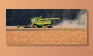 收成，大豆，作物，农业，农业