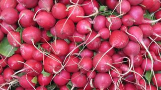 萝卜，市场，食品，花园，吃，蔬菜