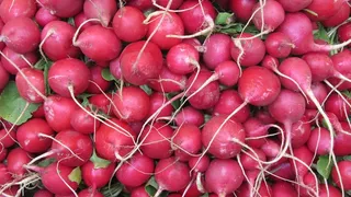 萝卜，市场，食品，花园，吃，蔬菜