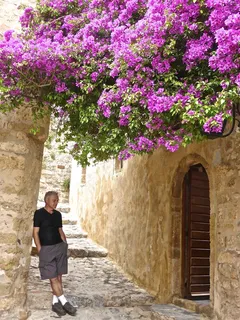 思考，放松，鲜花，沉思，和平，平静