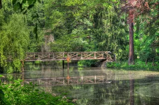 湖泊风景，桥，森林，反射，树木，树林，叶子