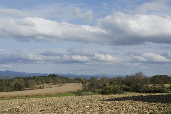 Sundgau，秋，天空，场，云团，性质，金