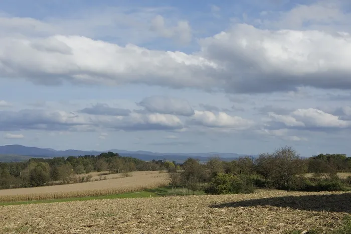 Sundgau，秋，天空，场，云团，性质，金