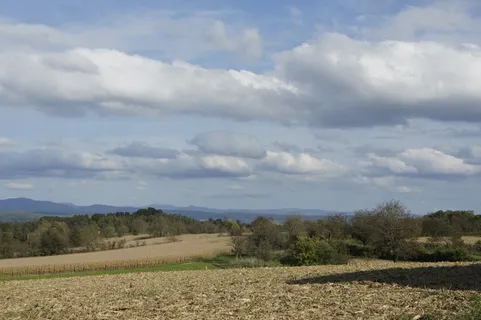Sundgau,秋,天空,场,云团,性质,金 Sundgau,秋,天空,场,云团,性质,金