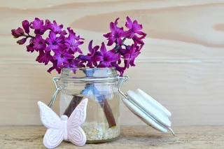 风信子，花，开花，香花