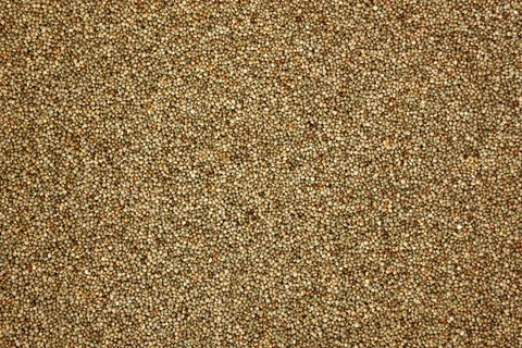 紫苏,图案,纹理,性质,粮食,农业,作物 紫苏,图案,纹理,性质,粮食,农业,作物