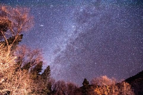 树,天空,风景,星云,天文摄影,夜空