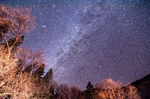 树,天空,风景,星云,天文摄影,夜空 树,天空,风景,星云,天文摄影,夜空