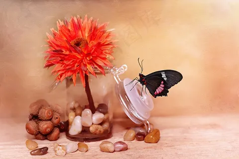 花,艺术花,开花,橙色 花,艺术花,开花,橙色